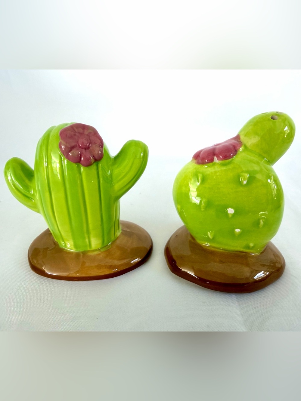 Ceramic Cactus Salt and Pepper Shakers EUC